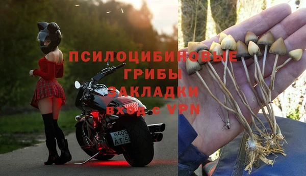 трава Балахна
